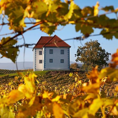 Wine Grower'S Mansion Zlati Gric Lejlighed Slovenske Konjice Eksteriør billede