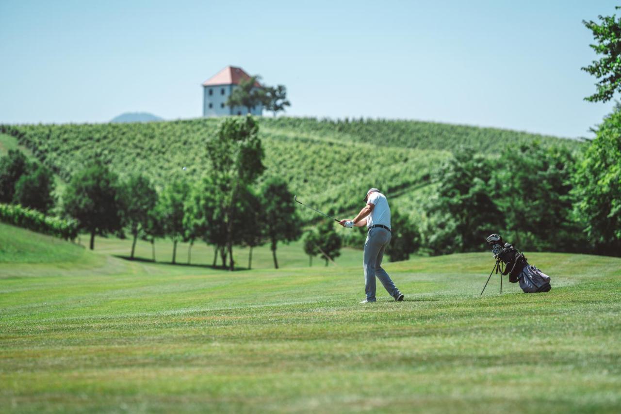 Wine Grower'S Mansion Zlati Gric Lejlighed Slovenske Konjice Eksteriør billede