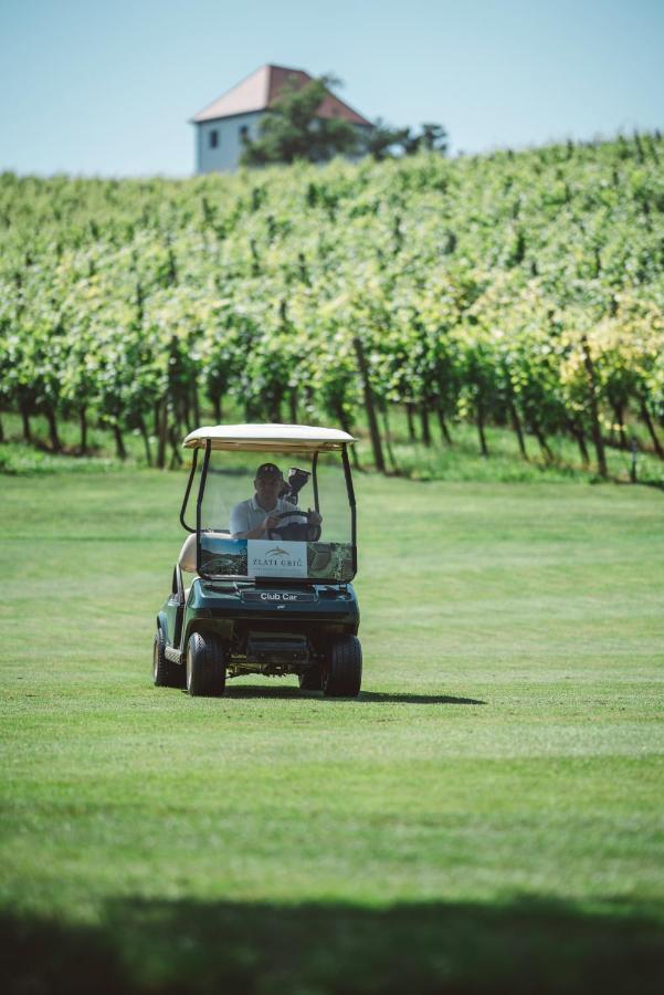 Wine Grower'S Mansion Zlati Gric Lejlighed Slovenske Konjice Eksteriør billede