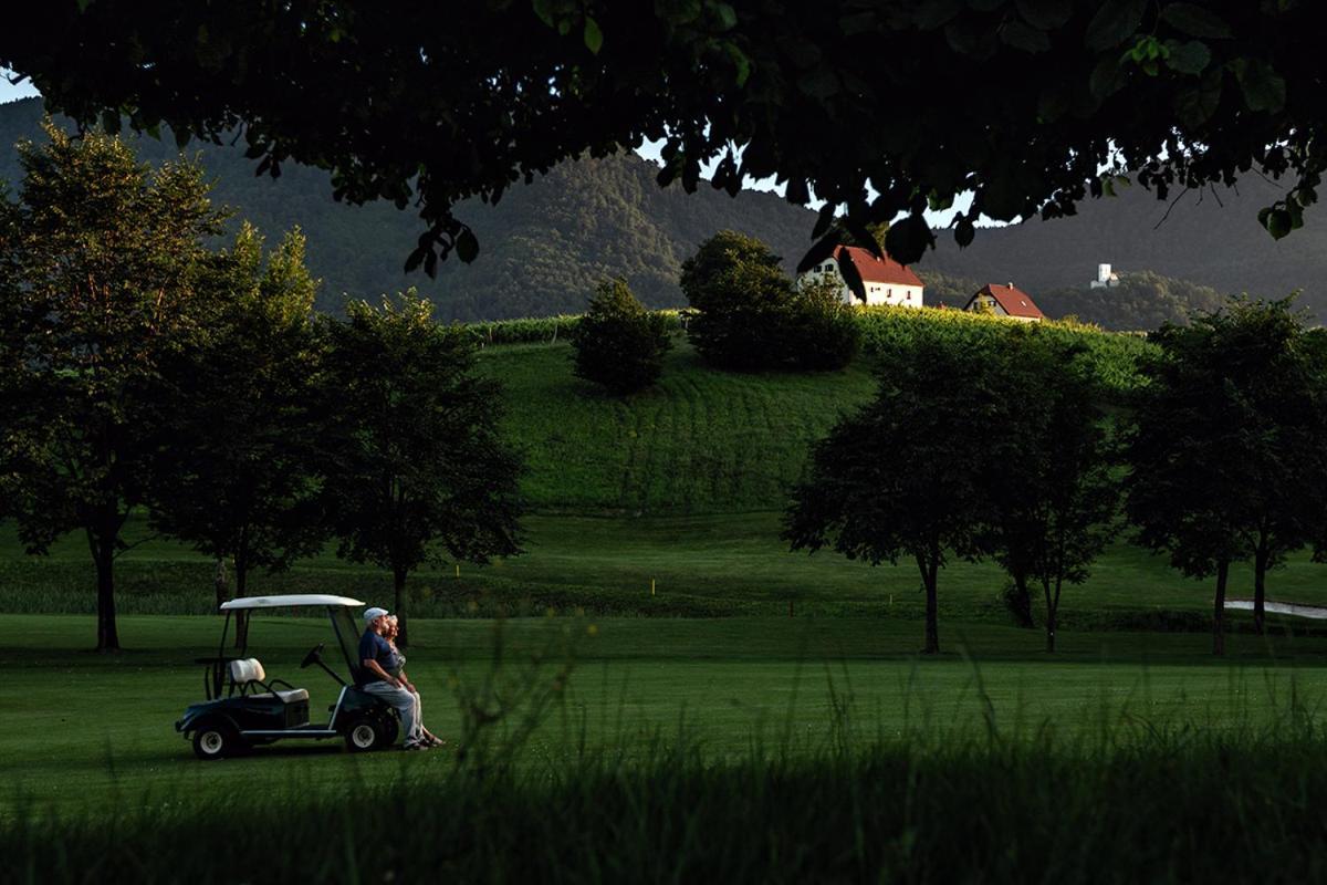 Wine Grower'S Mansion Zlati Gric Lejlighed Slovenske Konjice Eksteriør billede