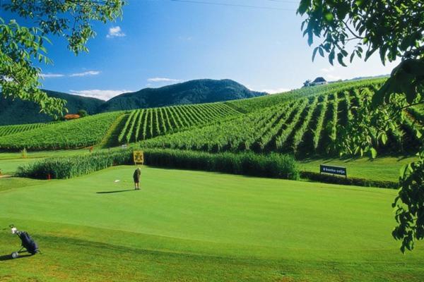 Wine Grower'S Mansion Zlati Gric Lejlighed Slovenske Konjice Eksteriør billede