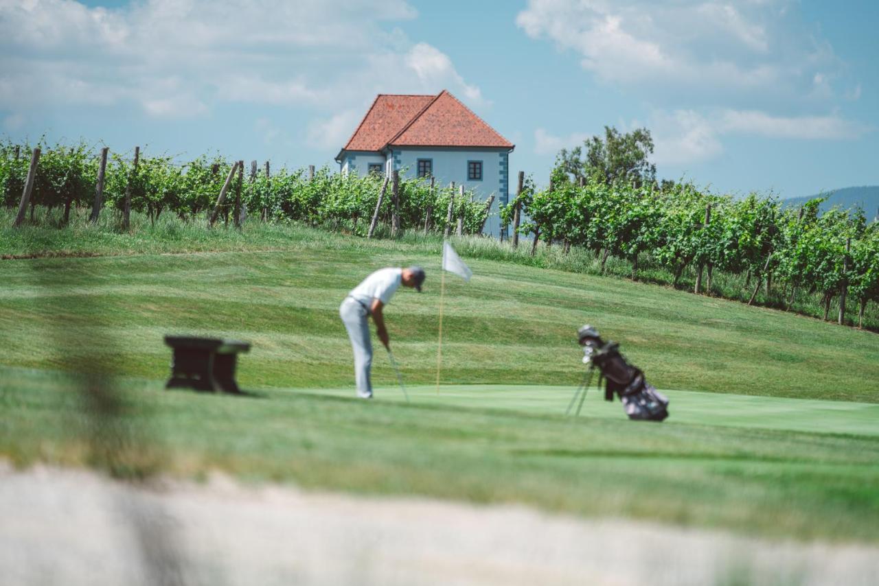 Wine Grower'S Mansion Zlati Gric Lejlighed Slovenske Konjice Eksteriør billede