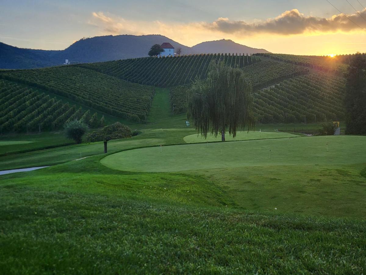 Wine Grower'S Mansion Zlati Gric Lejlighed Slovenske Konjice Eksteriør billede