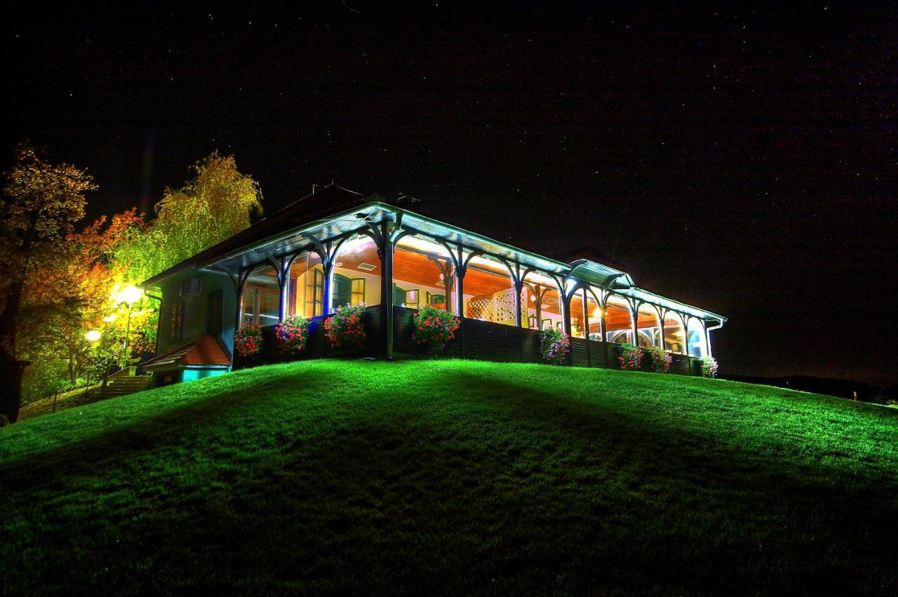 Wine Grower'S Mansion Zlati Gric Lejlighed Slovenske Konjice Eksteriør billede