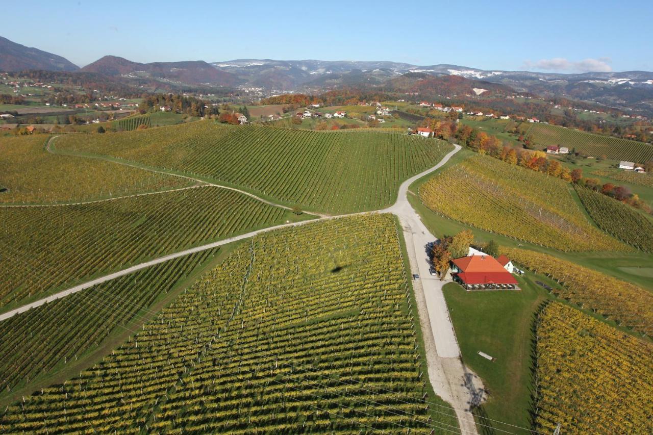 Wine Grower'S Mansion Zlati Gric Lejlighed Slovenske Konjice Eksteriør billede