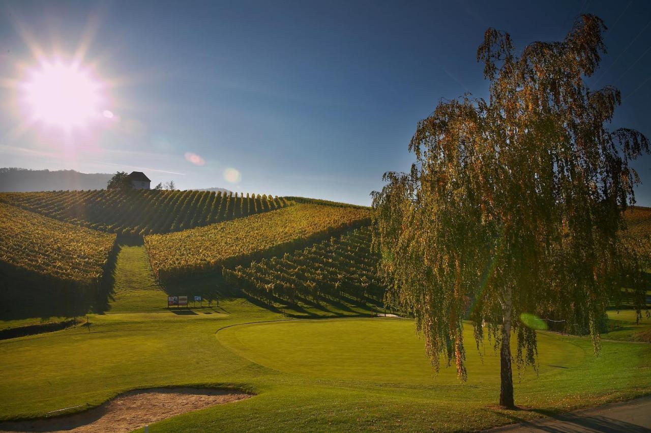 Wine Grower'S Mansion Zlati Gric Lejlighed Slovenske Konjice Eksteriør billede