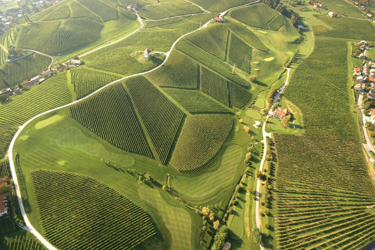 Wine Grower'S Mansion Zlati Gric Lejlighed Slovenske Konjice Eksteriør billede