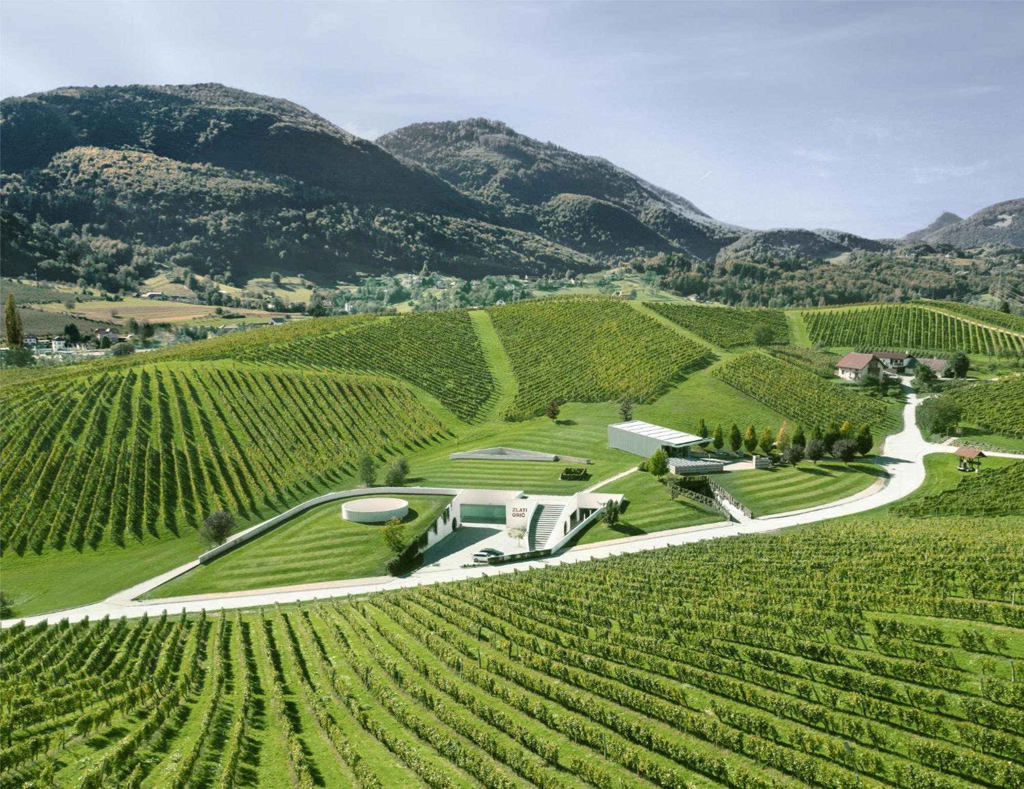 Wine Grower'S Mansion Zlati Gric Lejlighed Slovenske Konjice Eksteriør billede