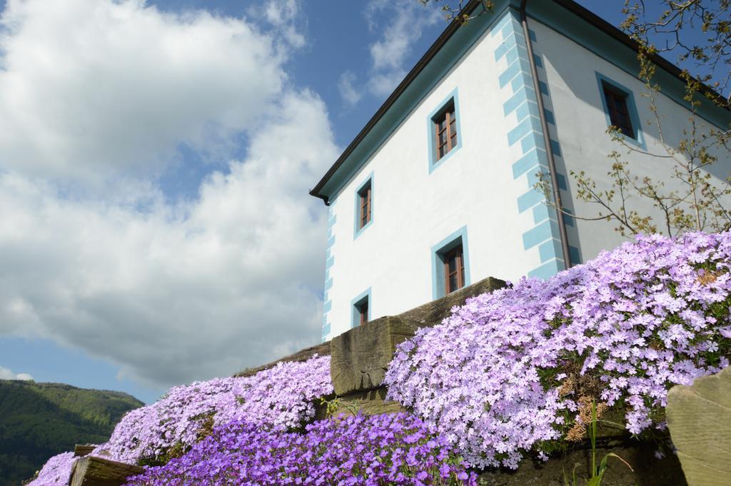 Wine Grower'S Mansion Zlati Gric Lejlighed Slovenske Konjice Eksteriør billede