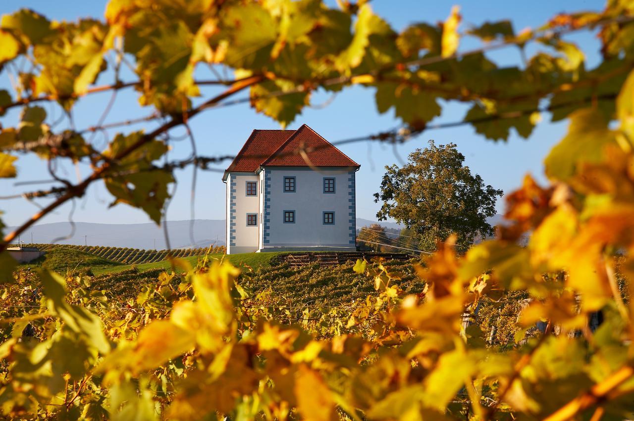 Wine Grower'S Mansion Zlati Gric Lejlighed Slovenske Konjice Eksteriør billede