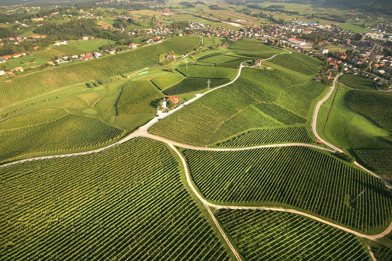 Wine Grower'S Mansion Zlati Gric Lejlighed Slovenske Konjice Eksteriør billede