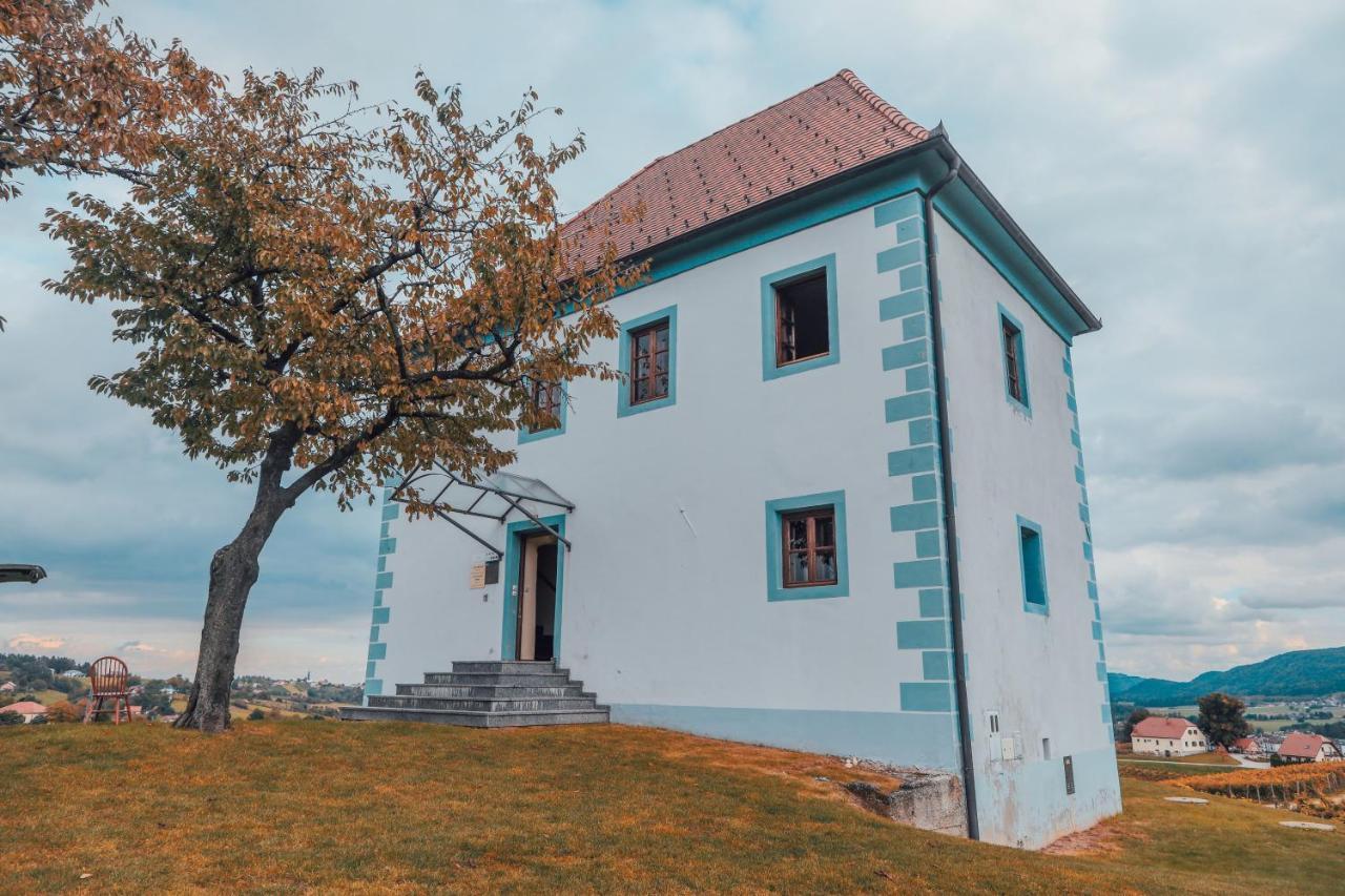 Wine Grower'S Mansion Zlati Gric Lejlighed Slovenske Konjice Eksteriør billede