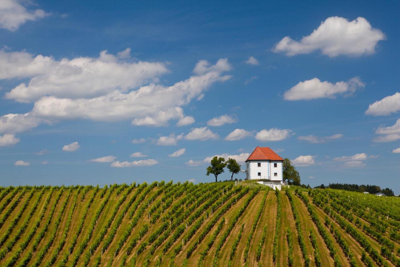 Wine Grower'S Mansion Zlati Gric Lejlighed Slovenske Konjice Eksteriør billede